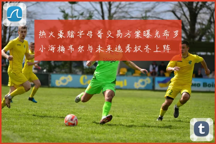热火豪赌字母哥交易方案曝光希罗小海梅韦尔与未来选秀权齐上阵