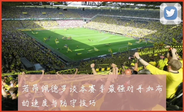 若昂佩德罗谈本赛季最强对手加布的速度与防守技巧
